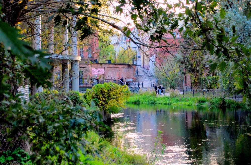 Фотографія Причаїтися в тиші / Вячеслав    Міхєєв / photographers.ua