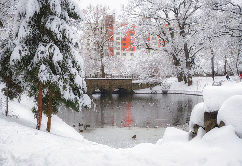 Фотографія Зима у парку / Сергій Федорук / photographers.ua