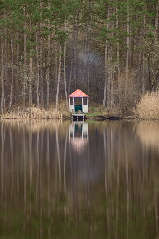 Фотографія /// / niknik / photographers.ua