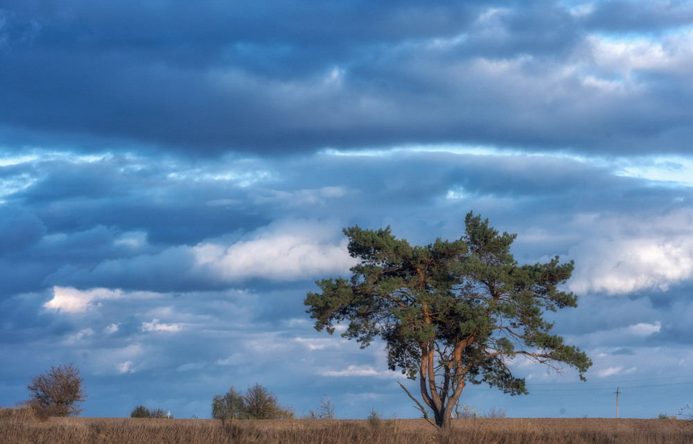 Фотографія Пейзаж / George Sky / photographers.ua