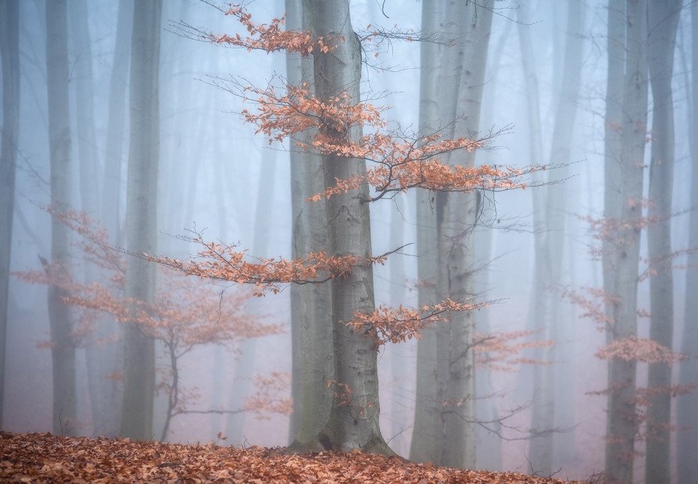 Фотографія Пейзаж / George Sky / photographers.ua