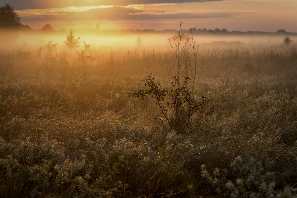 Фотографія Пейзаж / George Sky / photographers.ua