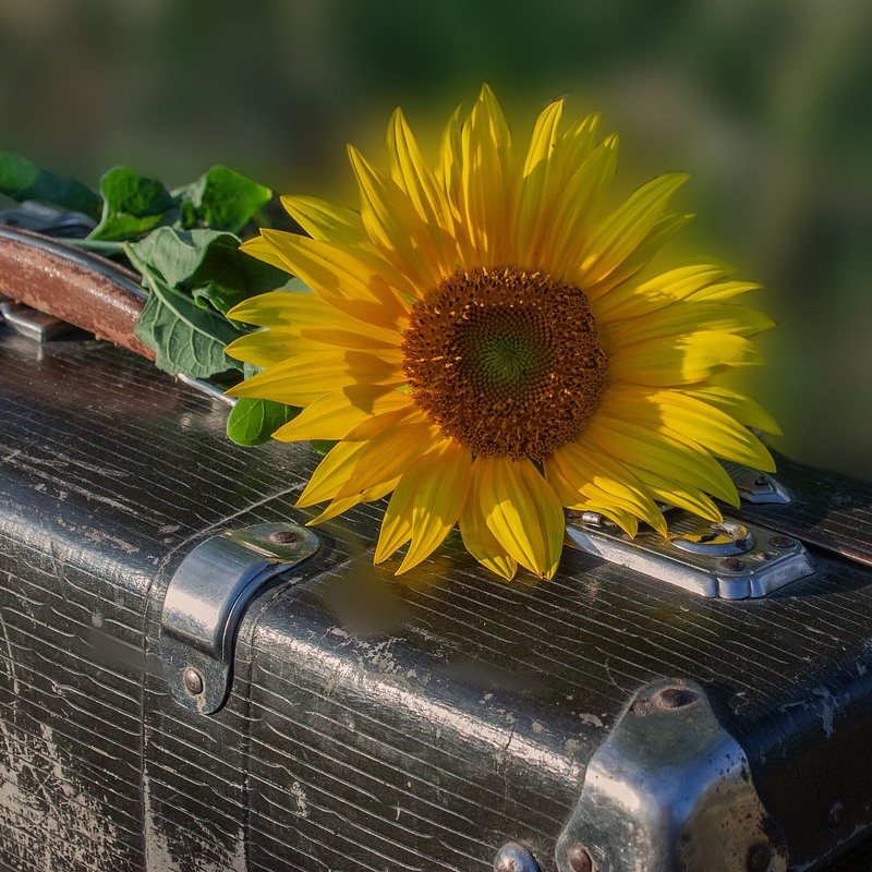 Фотографія Путешествие света / Юрий Антоненко / photographers.ua