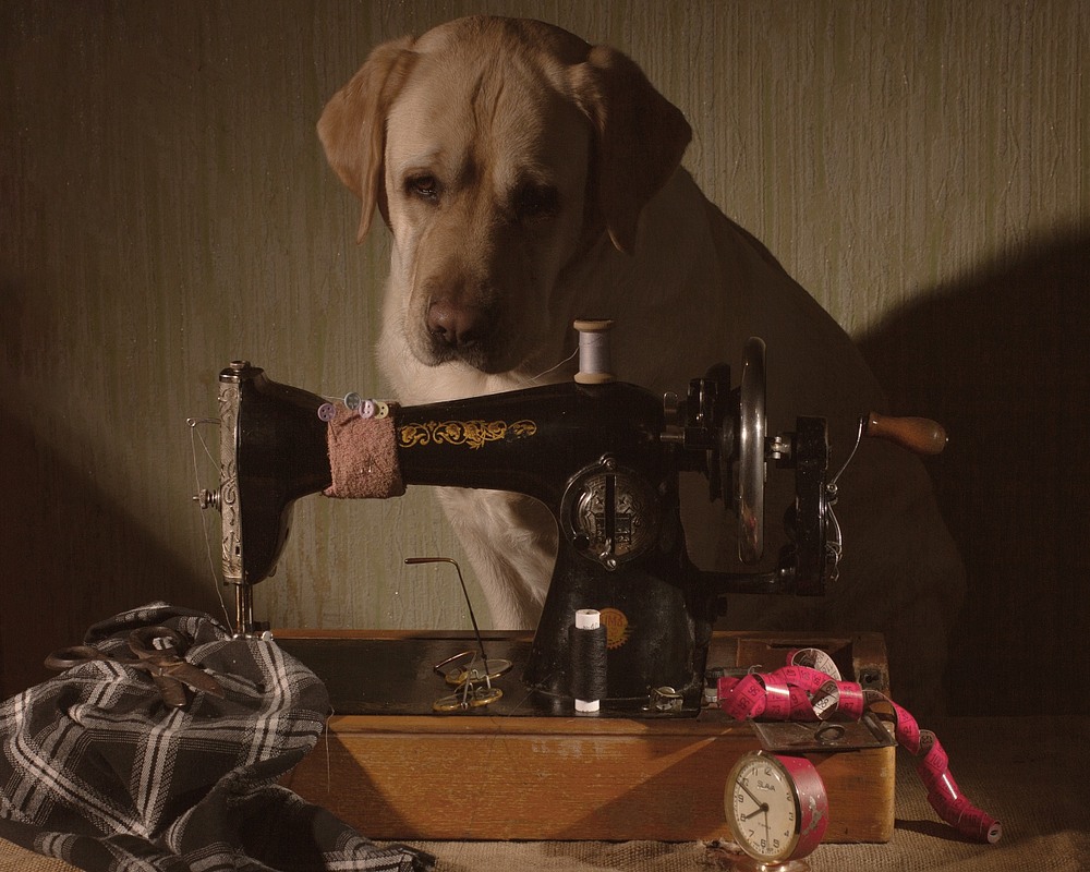 Фотографія Всі замовлення будуть виконані... Завтра! / Юрий Антоненко / photographers.ua