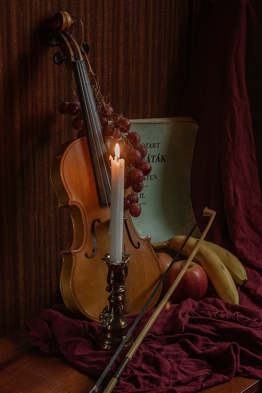 Фотографія Гроздь Моцарта / Юрий Антоненко / photographers.ua