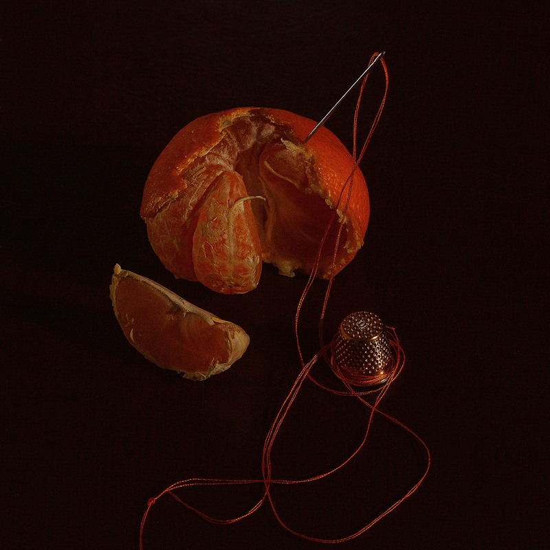 Фотографія Цитрусовый ремонт / Юрий Антоненко / photographers.ua