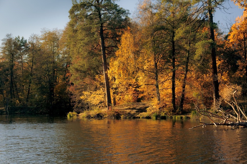 Фотографія Малює Осінь! Боже, як малює! / Андрій Макаренко / photographers.ua