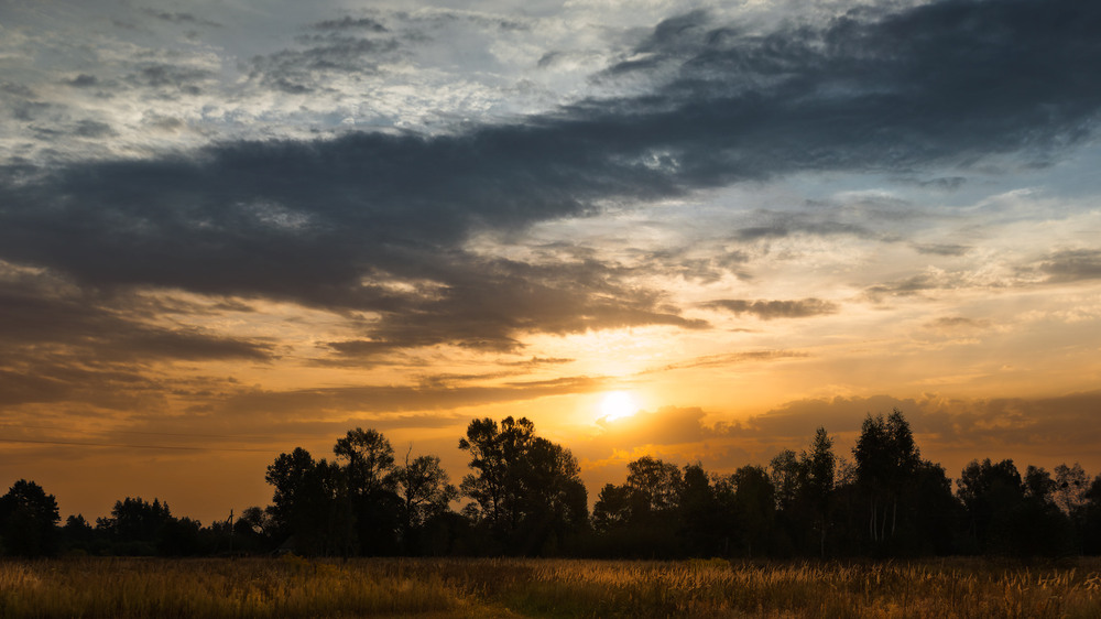 Фотографія Світанки Полісся / Андрій Макаренко / photographers.ua