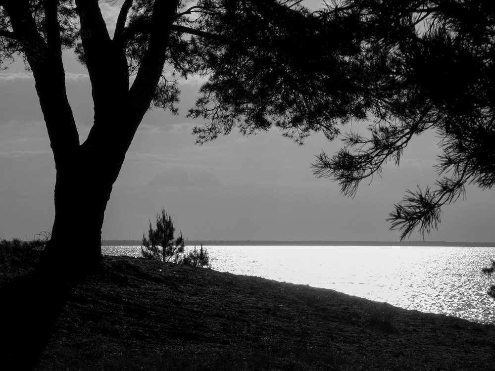 Фотографія Вечір на Київському морі / Андрій Макаренко / photographers.ua