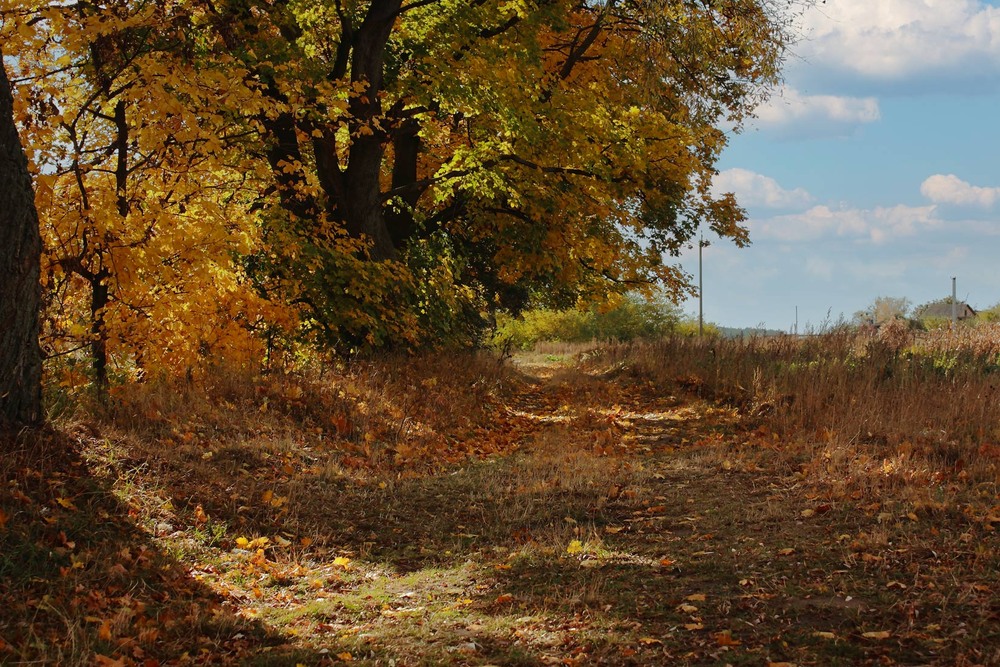 Фотографія * * * / Андрій Макаренко / photographers.ua