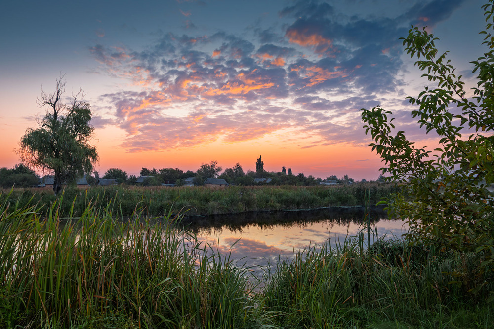 Фотографія Світанки Полісся / Андрій Макаренко / photographers.ua
