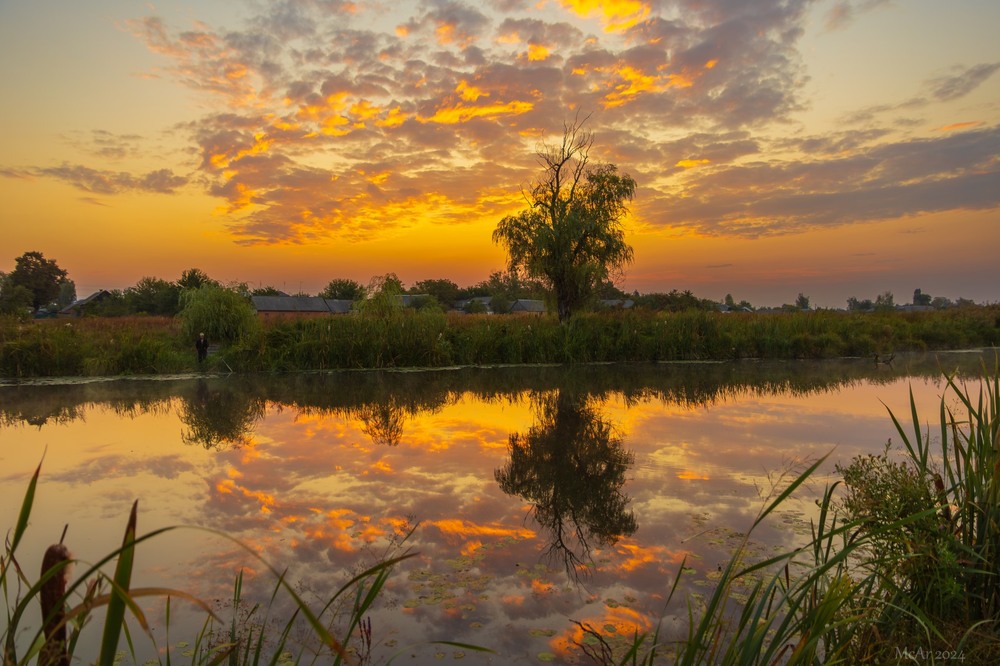 Фотографія Світанки Полісся / Андрій / photographers.ua