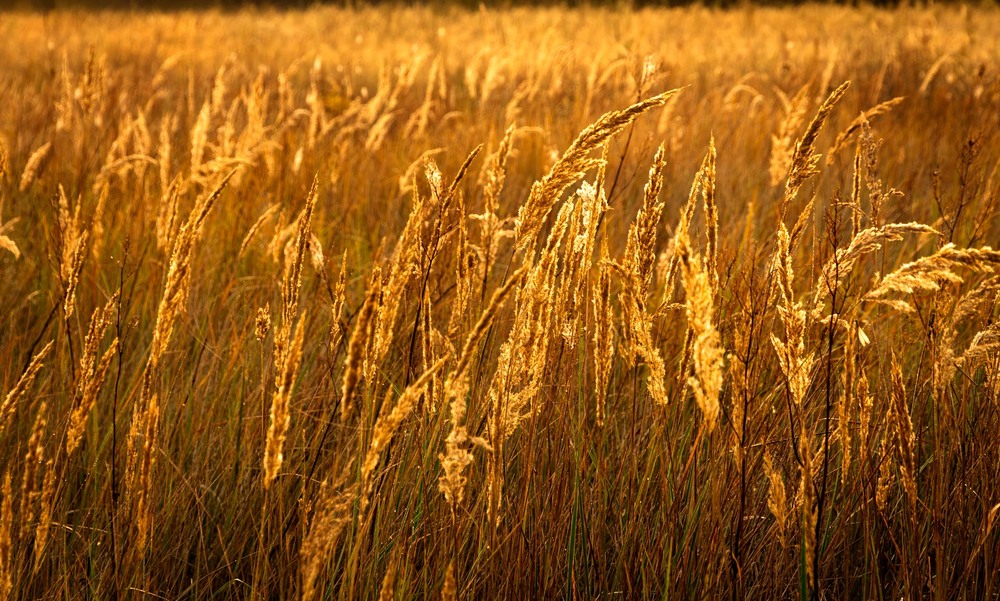 Фотографія Пейзаж / Андрій Макаренко / photographers.ua