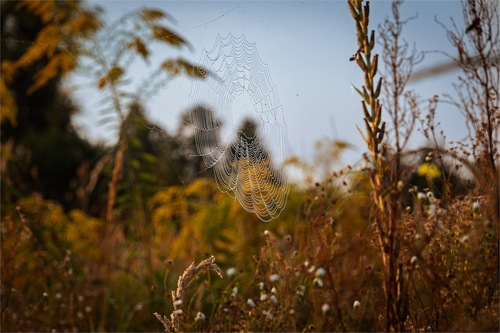 Фотографія Пейзаж / Андрій Макаренко / photographers.ua