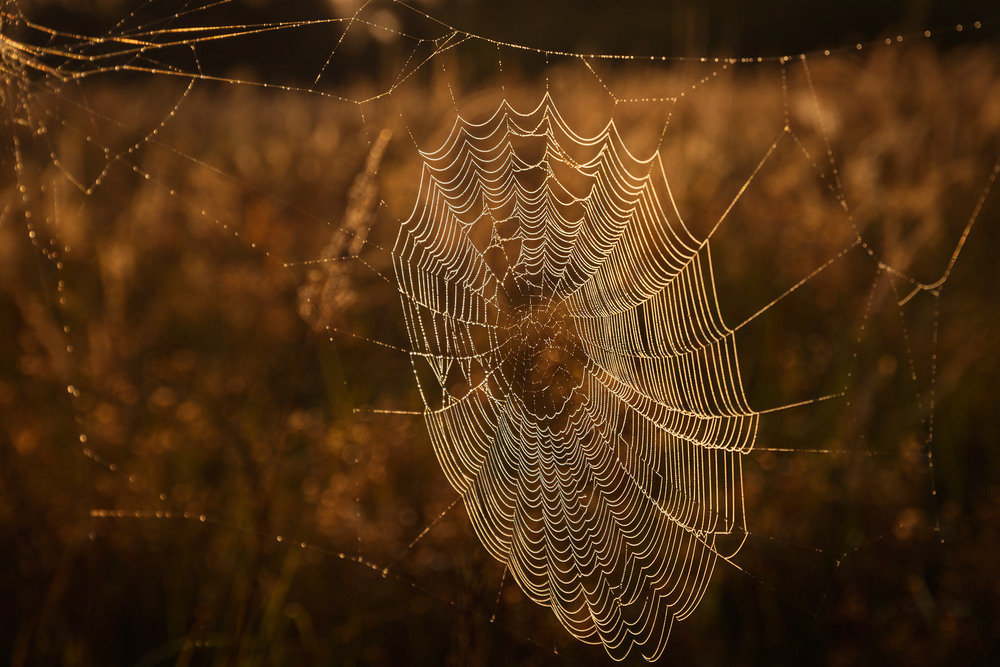 Фотографія Пейзаж / Андрій Макаренко / photographers.ua