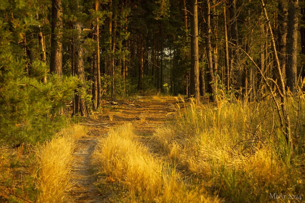 Фотографія Пейзаж / Андрій Макаренко / photographers.ua