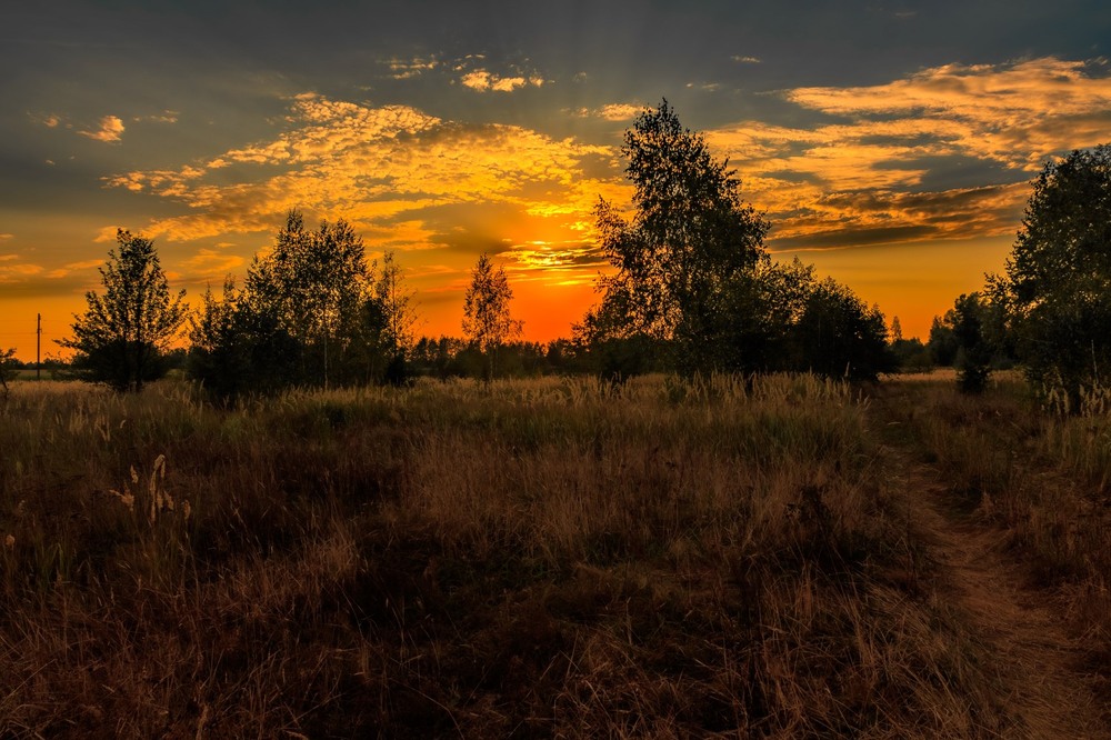 Фотографія Вечірнє Полісся / Андрій Макаренко / photographers.ua