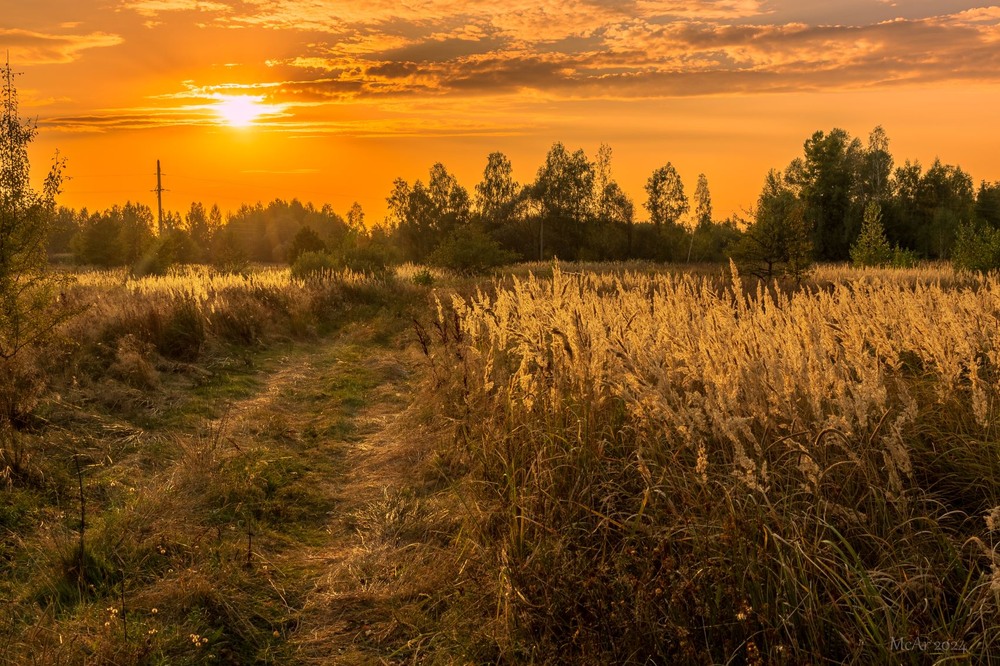 Фотографія Вечірнє Полісся / Андрій Макаренко / photographers.ua