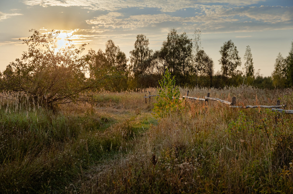 Фотографія Вечірнє Полісся (нова редакція) / Андрій Макаренко / photographers.ua