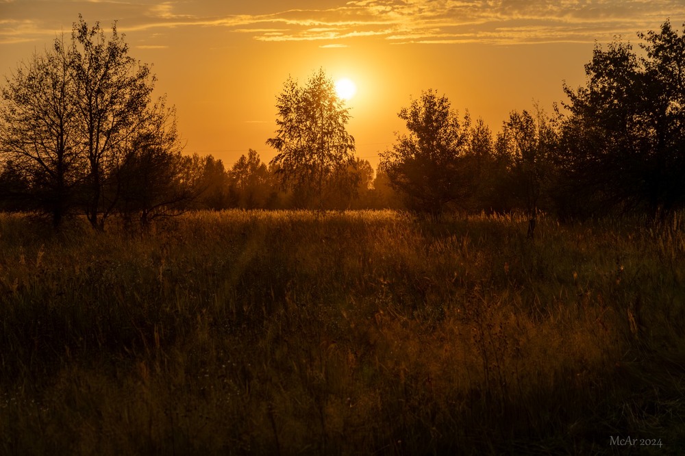 Фотографія Вечірнє Полісся / Андрій Макаренко / photographers.ua