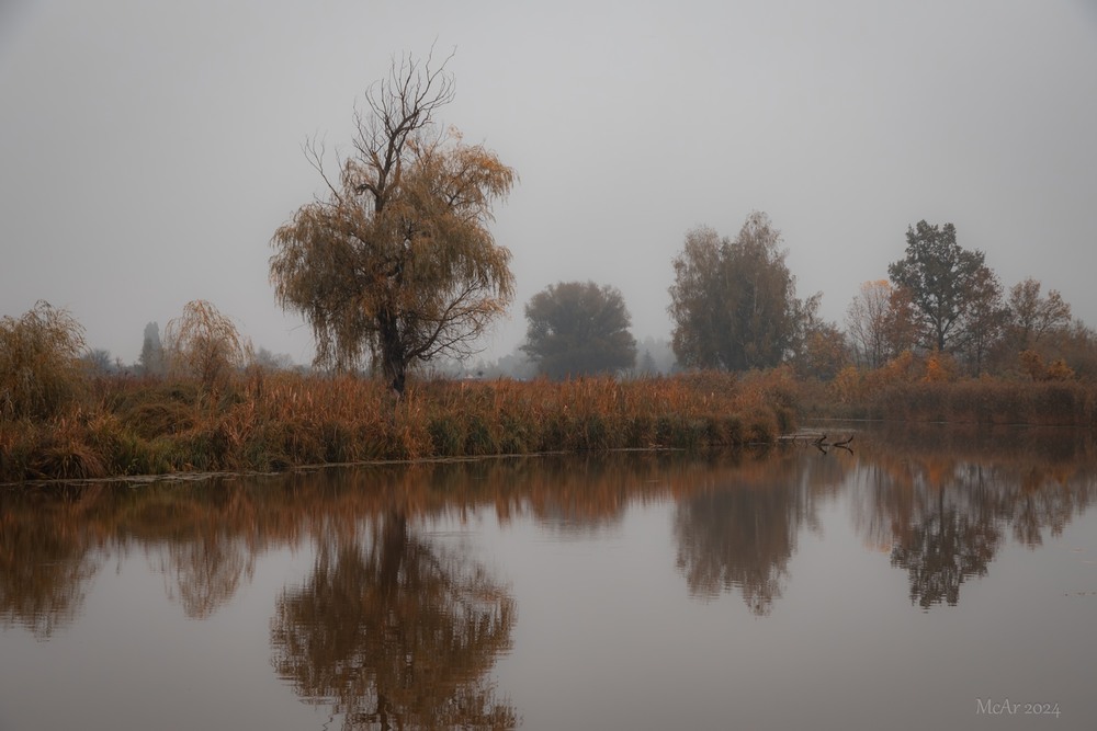 Фотографія Осінній ранок, прохолода… / Андрій Макаренко / photographers.ua