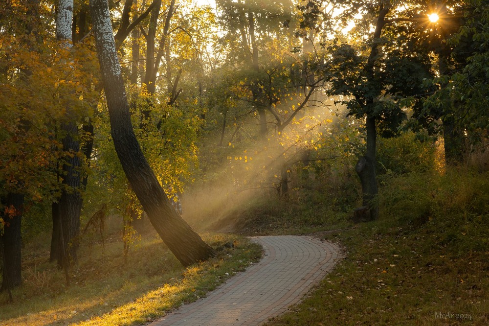 Фотографія Паркові прогулянки / Андрій Макаренко / photographers.ua