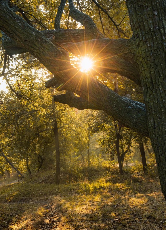 Фотографія Пейзаж / Андрій Макаренко / photographers.ua