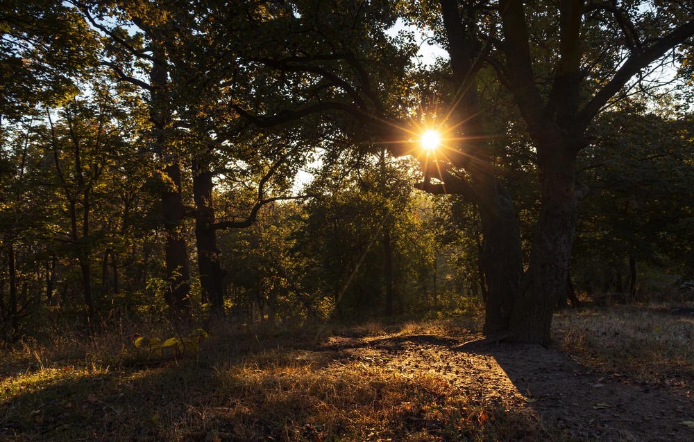 Фотографія Пейзаж / Андрій Макаренко / photographers.ua