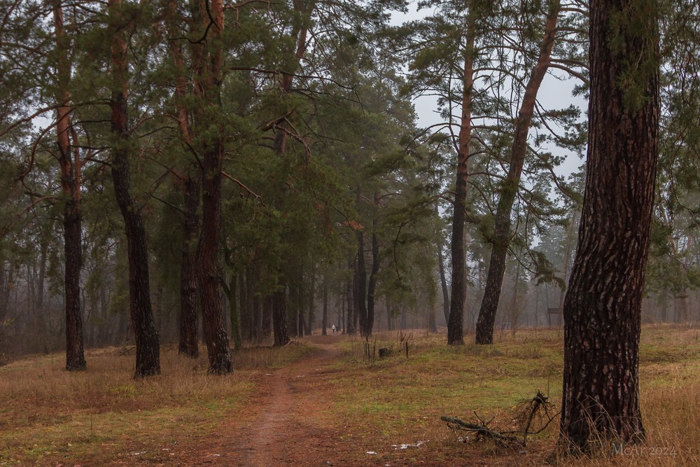 Фотографія Пейзаж / Андрій Макаренко / photographers.ua