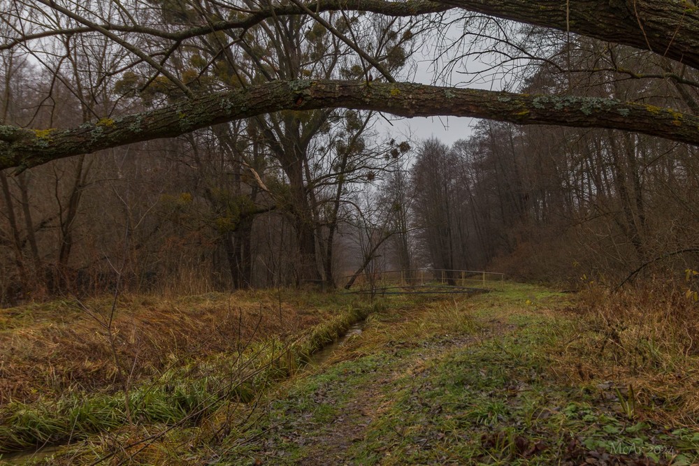 Фотографія Пейзаж / Андрій Макаренко / photographers.ua