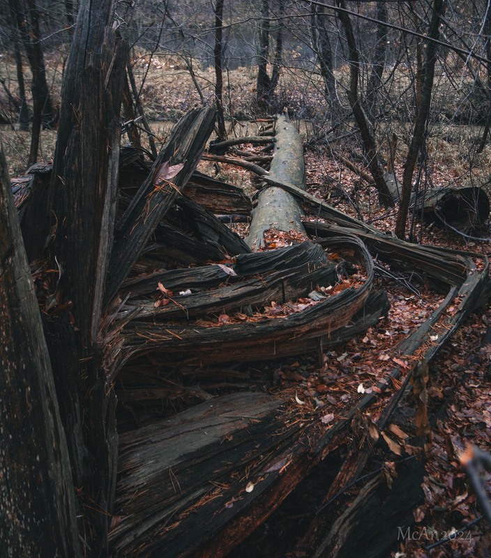 Фотографія * * * / Андрій Макаренко / photographers.ua