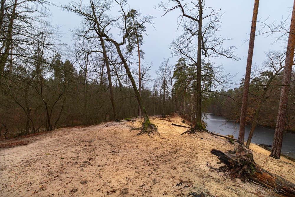 Фотографія * * * / Андрій Макаренко / photographers.ua