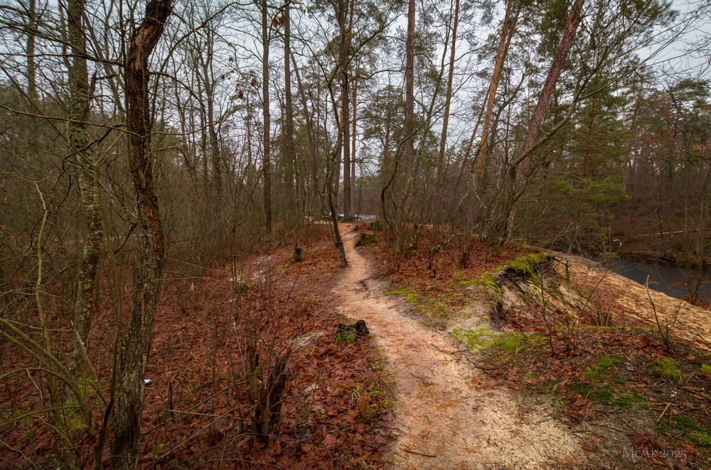 Фотографія * * * / Андрій Макаренко / photographers.ua