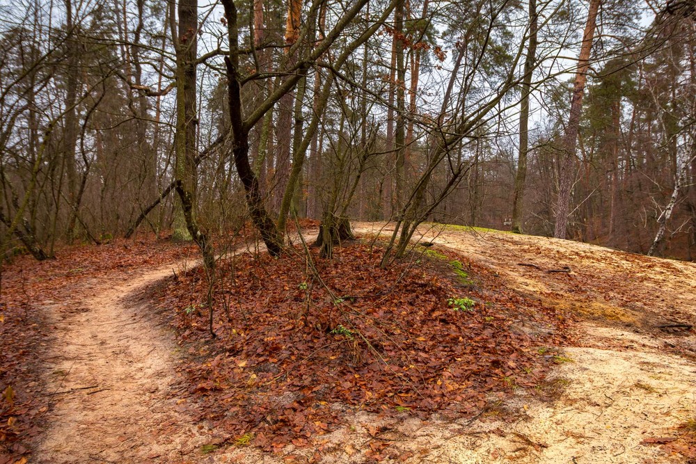 Фотографія * * * / Андрій Макаренко / photographers.ua