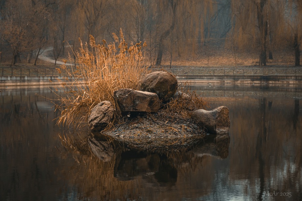 Фотографія Останній прихисток осені / Андрій Макаренко / photographers.ua