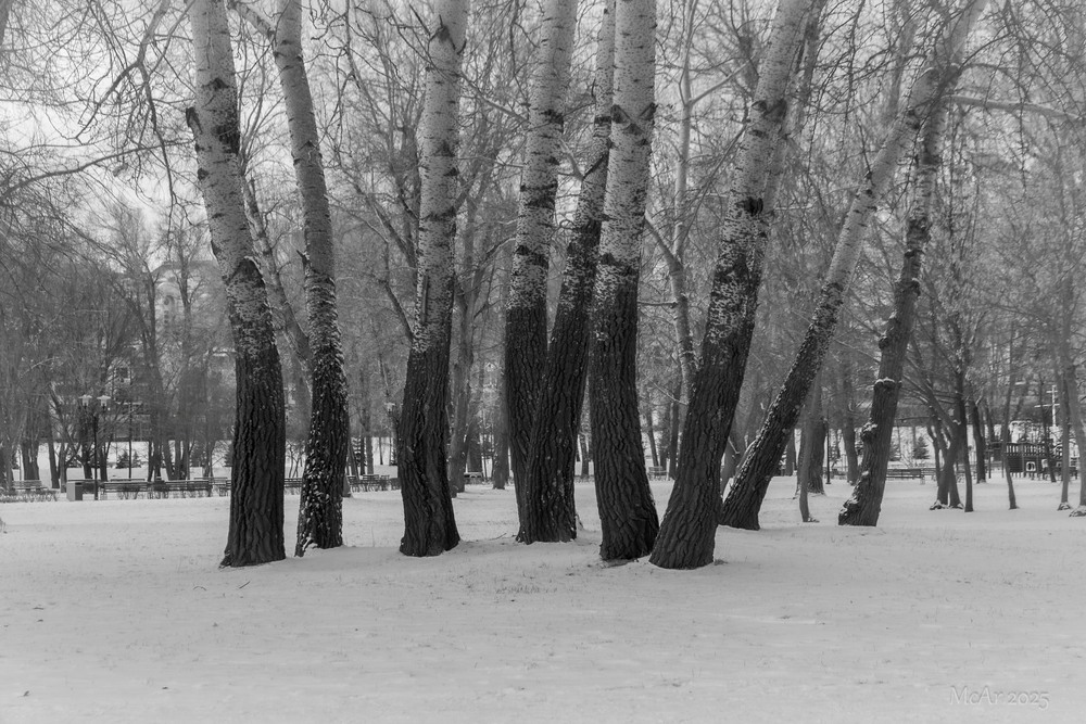 Фотографія Паркові прогулянки / Андрій Макаренко / photographers.ua