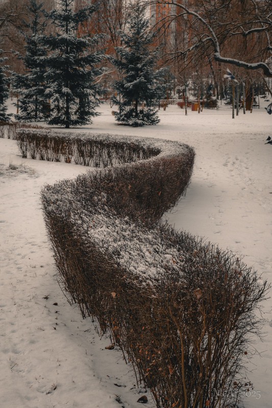 Фотографія Паркові прогулянки / Андрій Макаренко / photographers.ua