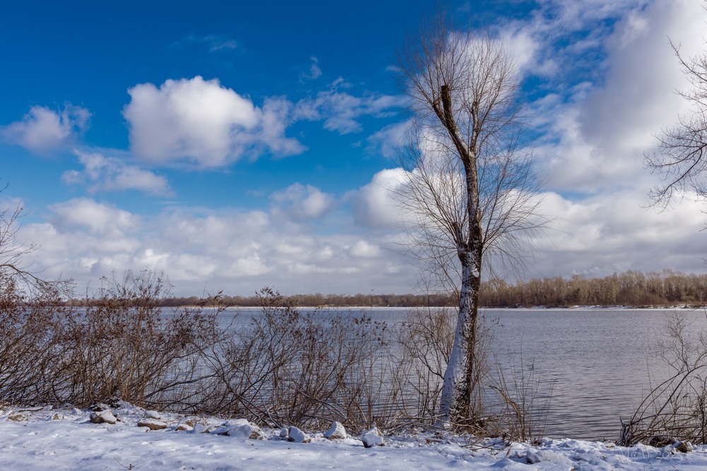 Фотографія Острів Оболонський, вид на Дніпро / Андрій Макаренко / photographers.ua