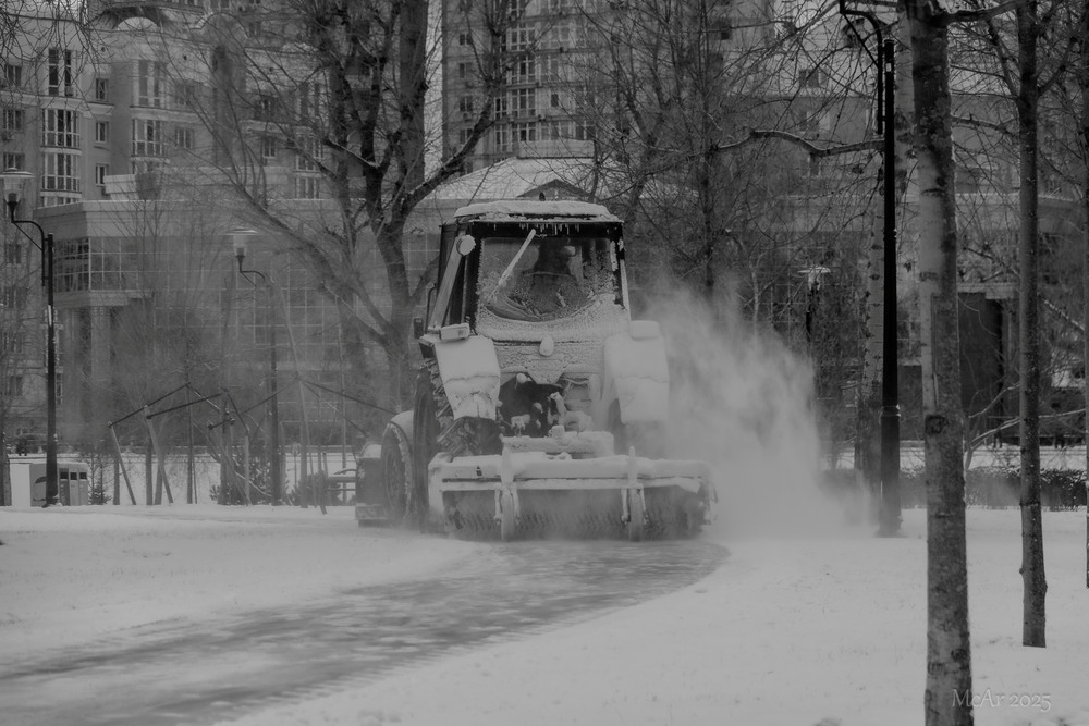 Фотографія Паркові прогулянки / Андрій Макаренко / photographers.ua