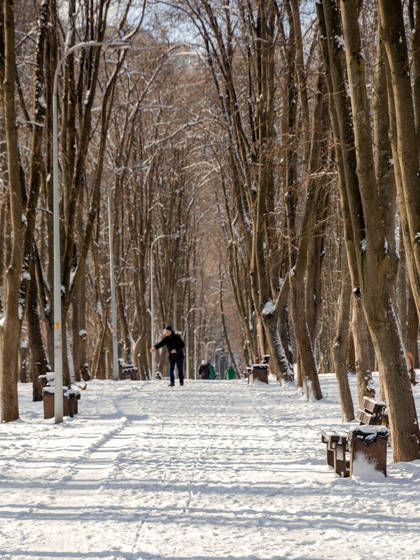 Фотографія Паркові прогулянки / Андрій Макаренко / photographers.ua
