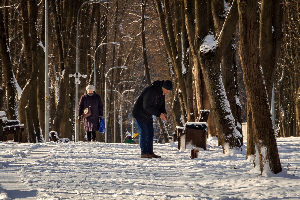 Фотографія Паркові прогулянки / Андрій Макаренко / photographers.ua