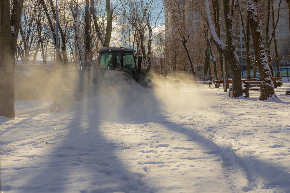 Фотографія Паркові прогулянки / Андрій Макаренко / photographers.ua