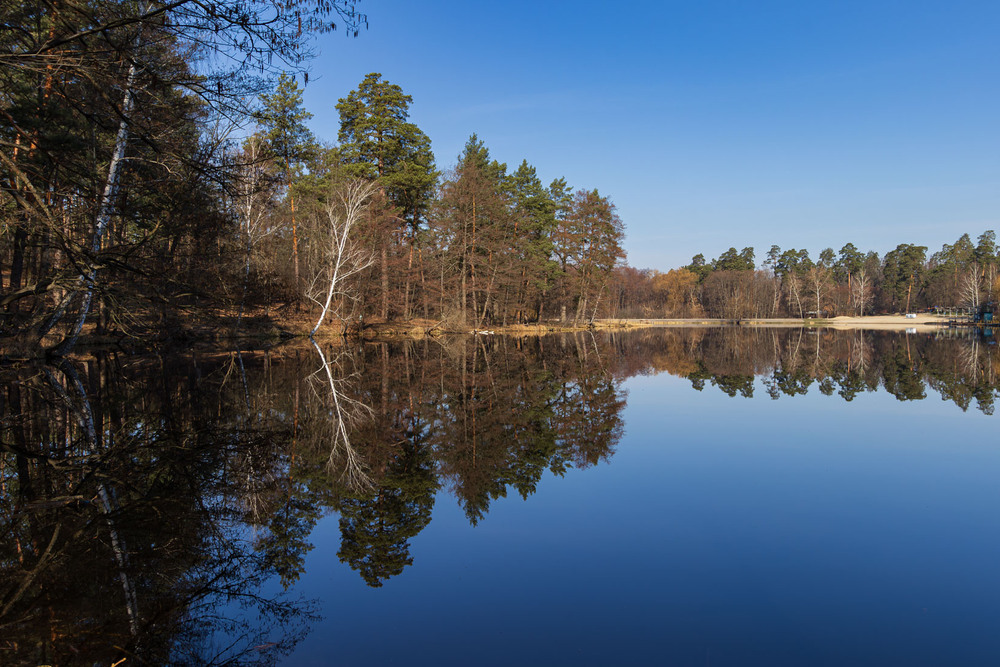 Фотографія Симетрія природи / Андрій Макаренко / photographers.ua