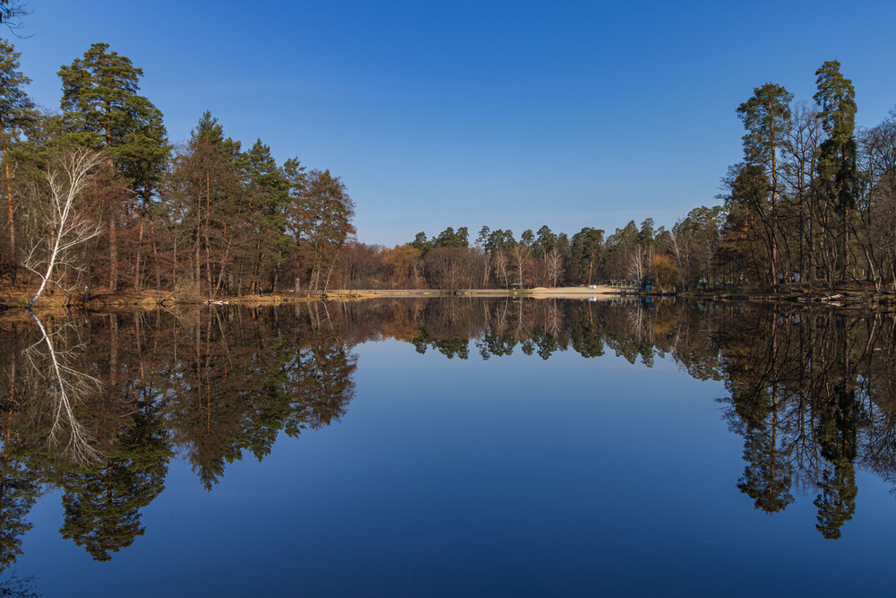 Фотографія Паркові прогулянки / Андрій Макаренко / photographers.ua