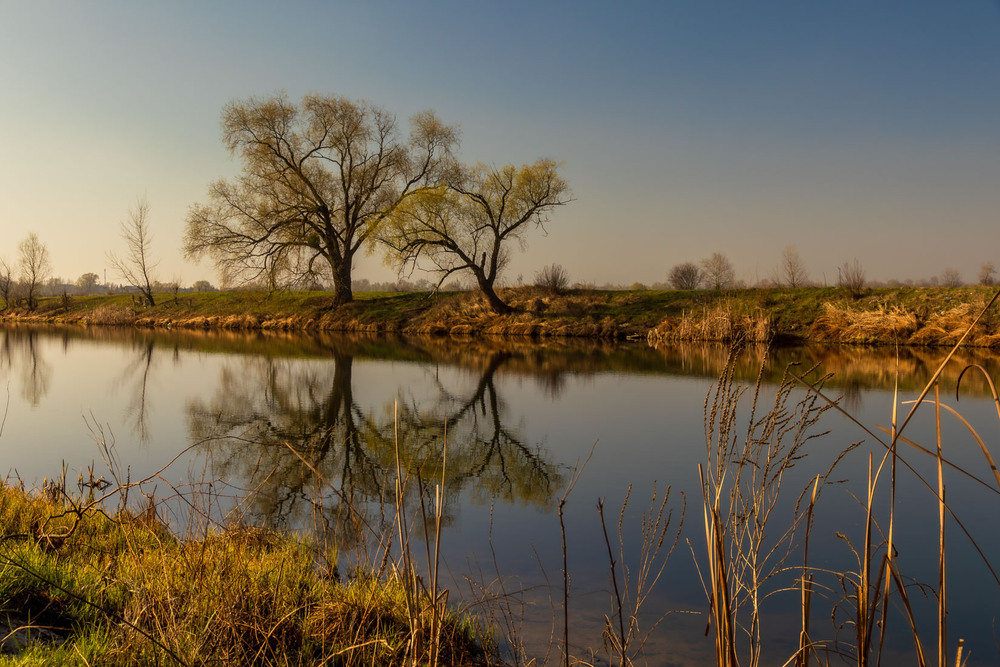 Фотографія Дніпровські луки / Андрій Макаренко / photographers.ua