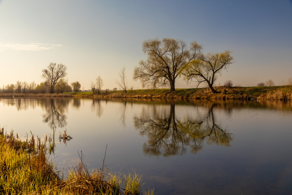 Фотографія Дніпровські луки / Андрій Макаренко / photographers.ua
