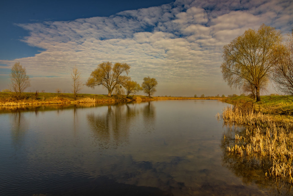 Фотографія Дніпровські луки / Андрій Макаренко / photographers.ua