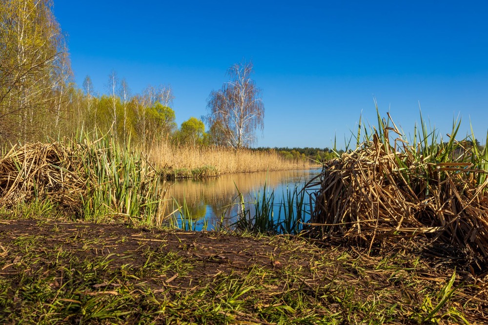 Фотографія Пейзаж / Андрій Макаренко / photographers.ua