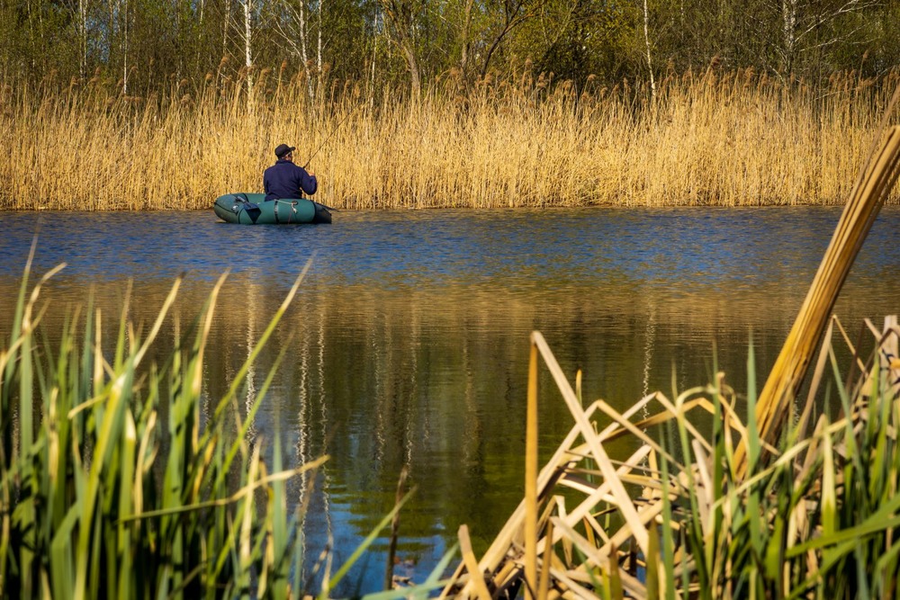 Фотографія За весіннім хижаком / Андрій Макаренко / photographers.ua