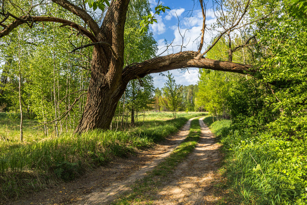 Фотографія Пейзаж / Андрій Макаренко / photographers.ua